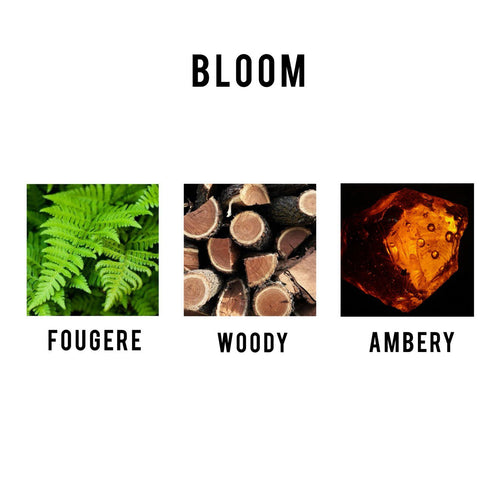 Bloom